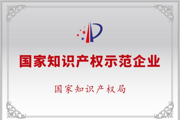 國家知識產(chǎn)權示范企業(yè)